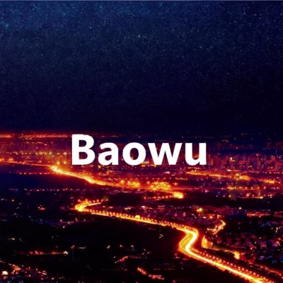 baowusteel3